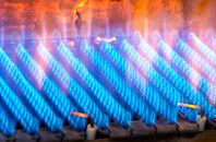 Coed Ystumgwern gas fired boilers